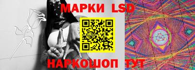крисы Кулебаки