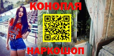 крисы Кулебаки