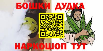 крисы Кулебаки