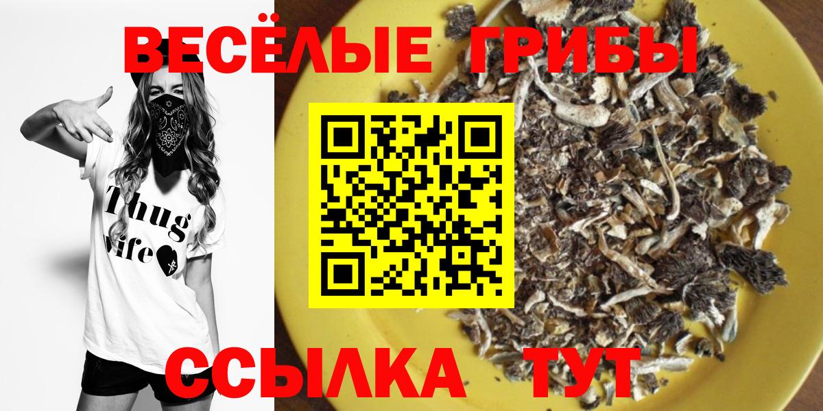 Псилоцибиновые грибы GOLDEN TEACHER  Псилоцибиновые грибы Magic Shrooms  Вход с VPN  Касимов 